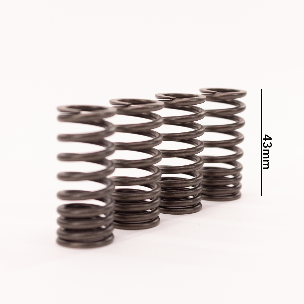 IMG_1734) копия